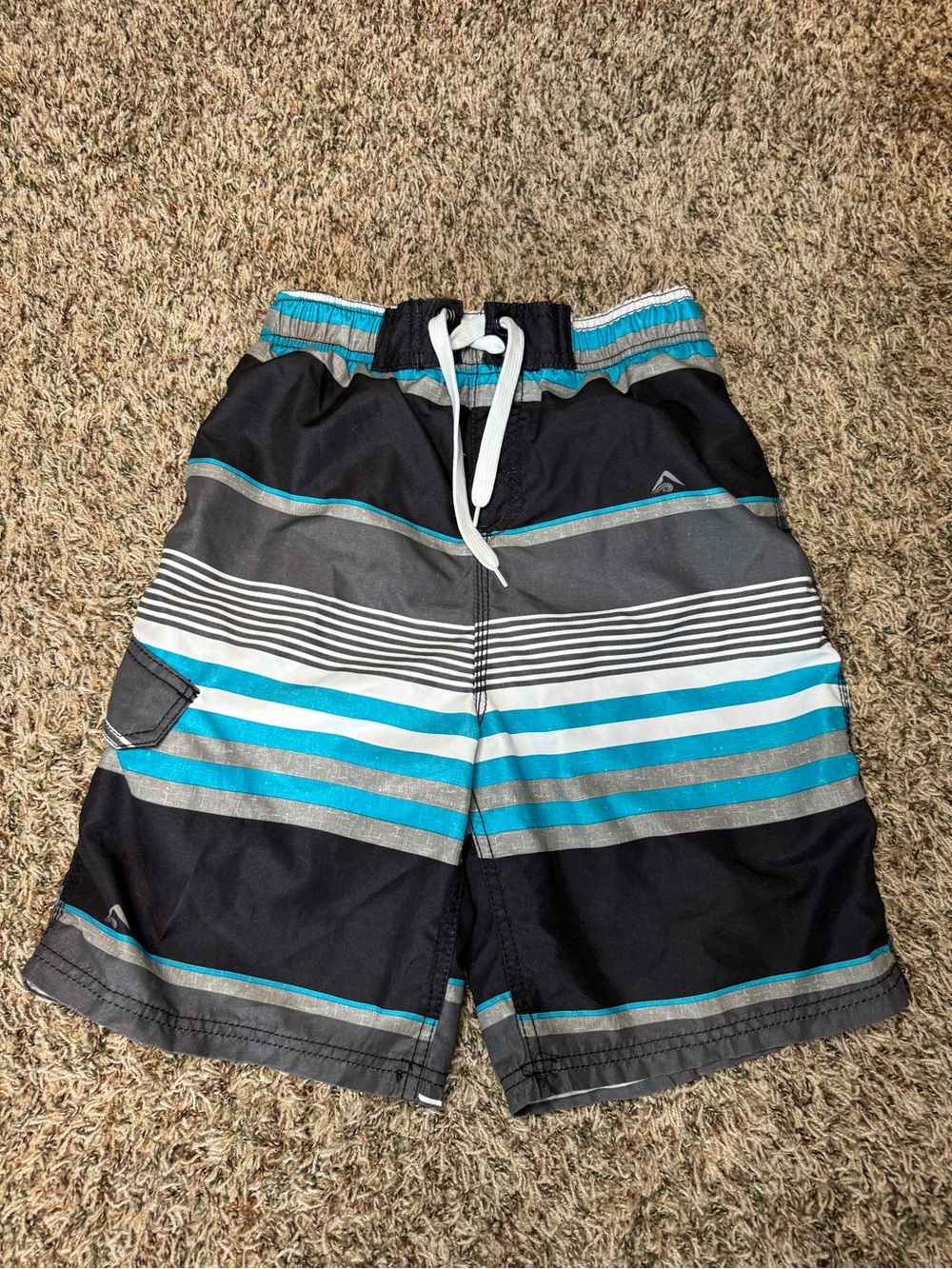 Boy’s Black and Teal Striped Swim Shorts